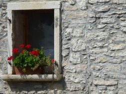 window with red flowers on the stone facade of the house