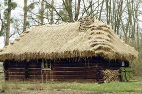 Cottage Thatched