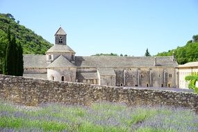abbaye de senanque and stone wall