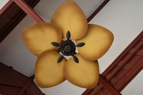 Electric Ceiling Fan