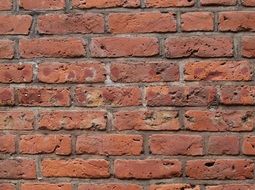 Red texture Brick Wall