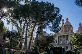 catholic cathedral, Spain, Barcelona