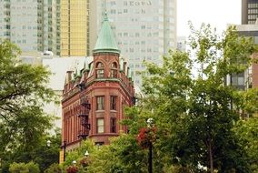 modern building behind green trees