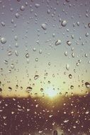 Raindrops on a glass