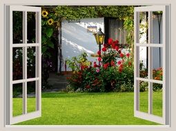 view from the window of flowers in the garden