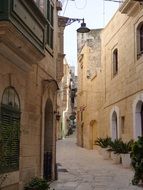 city street in spring