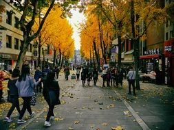 people on autumn street in korea