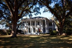landscape of Bragg-Mitchell mansion between the trees