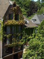 houses in green thickets in elberfeld