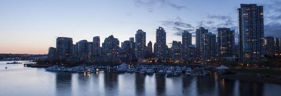 skyscrapers near the marina