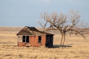 Abandoned empty house with tree on the landscape