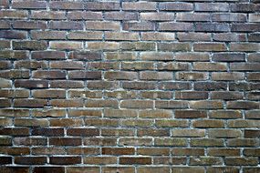 dark Wall Brick