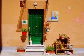 green door with flowers