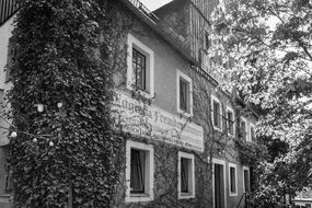 old Hotel, germany, National Park Saxon Switzerland, Schmilka