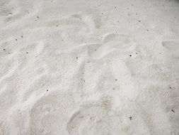 white sand beach in Maldives