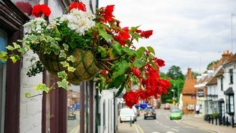 colorful flowers as a decoration of the city street