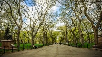 New York City park at spring