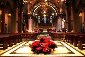 red flowers on the floor in the cathedral