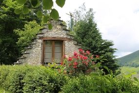 House and Flowers