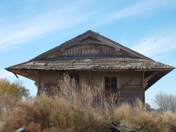 Wood Building