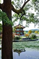 temple on the bank of a pond in South Korea