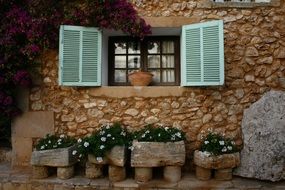 blue House Window