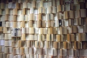 decorative wall of old books