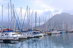 Yachts on the water in Portland