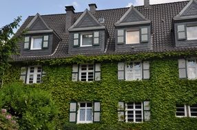 Home Green Building