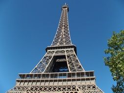 green tree near the eiffel tower under blue sky