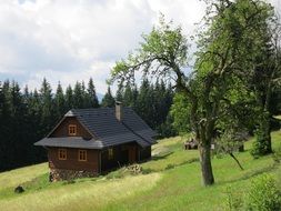 cottage on green grass near the trees