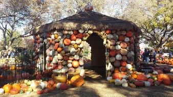 house of pumpkins