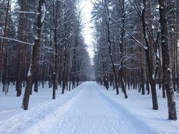 winter park in Russia