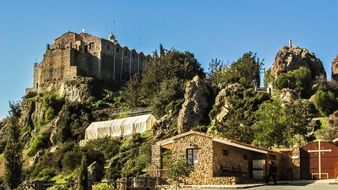 monastery among green trees in cyprus