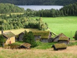houses with green roofs in a picturesque meadow