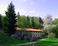 mountain house in beautiful spring forest