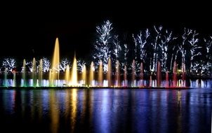 illuminated Ibirapuera park at night