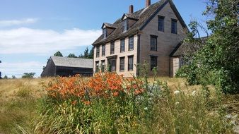 orange lily near the stone house