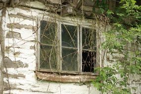 old window in old house