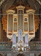 Organ Dom