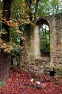 building ruins in autumn in the forest