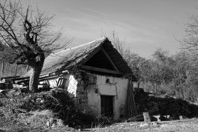 black and white photo of a destroyed house