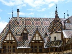 patterned roof of hotel de dieu