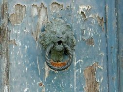 vintage door knocker in venice