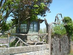 wild home among nature on a sunny day