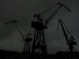 Silhouettes of the cranes