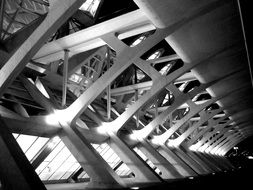 City Arts And Sciences Valencia