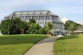greenhouse in the Botanical Garden in Berlin