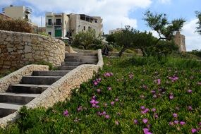 stone Stairs in garden, malta, gozo