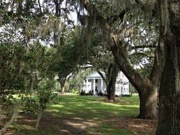 South House Plantation